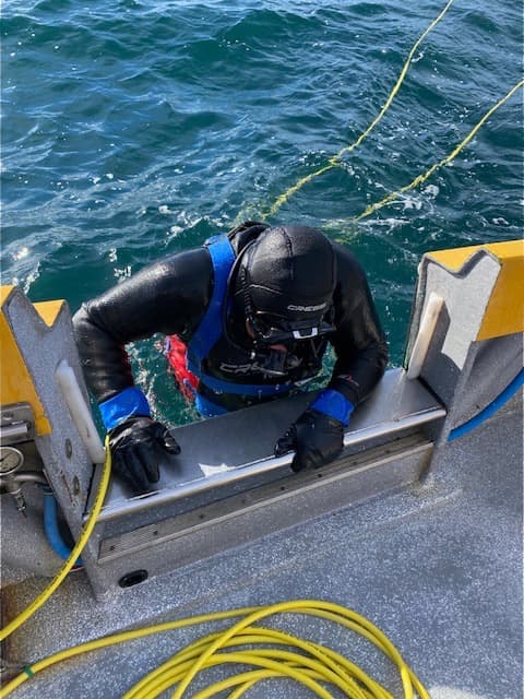 Diving for wild catch